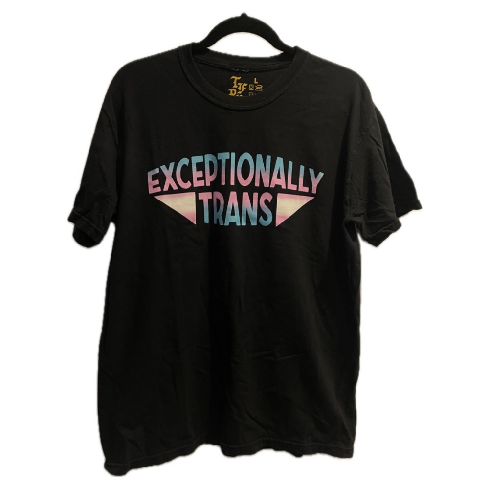🏳️‍⚧️ Exceptionally Trans Graphic T-shirt by Transfigure Print Co x MegEmikoArt